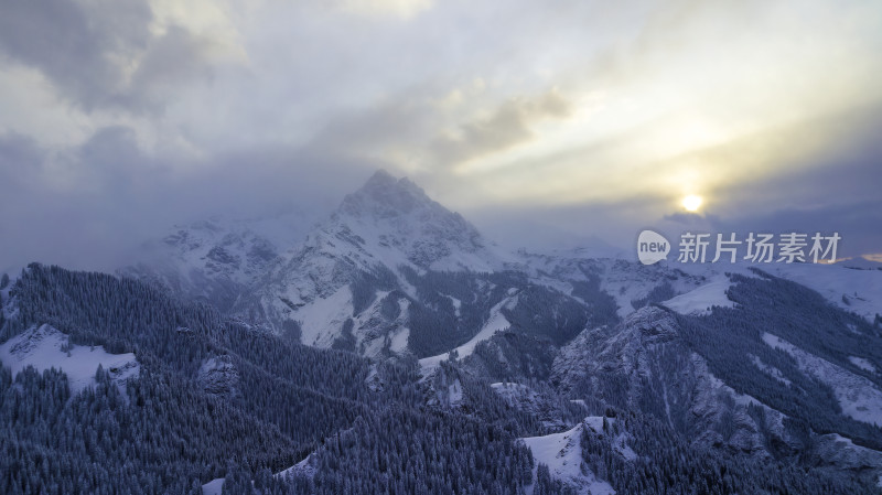 雪山云海日出下的森林美景