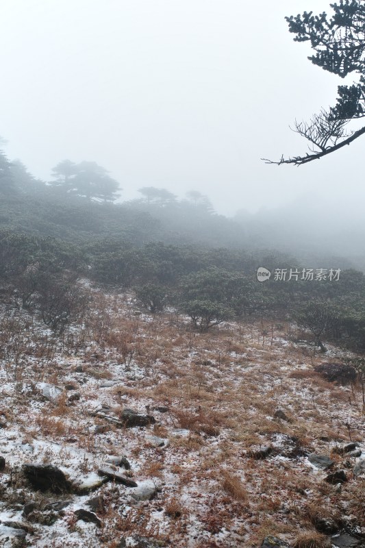 大理苍山洗马潭景区