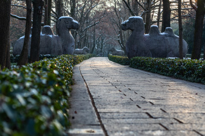 南京明孝陵石象路神道雪景