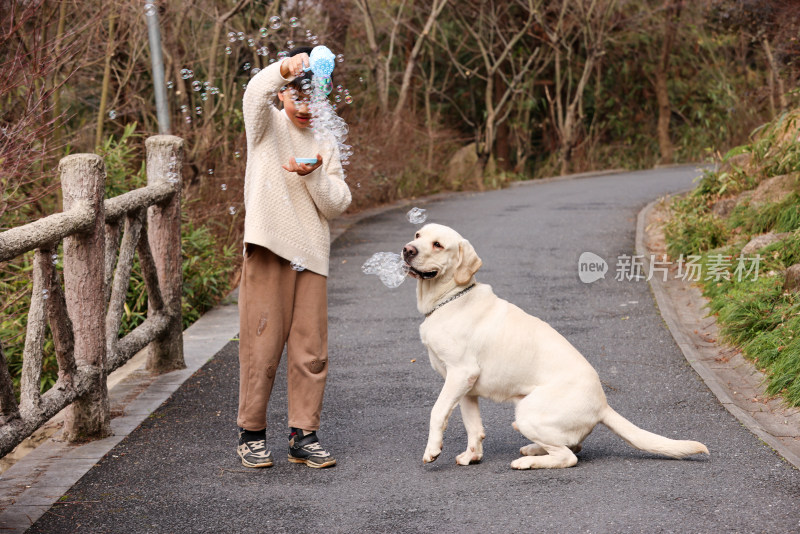 一个中国小男孩和他的宠物拉布拉多犬