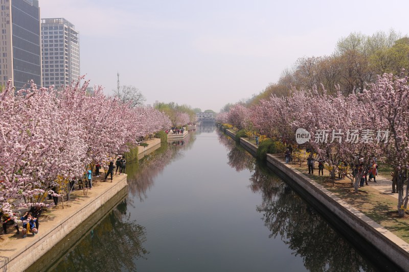 风景系列