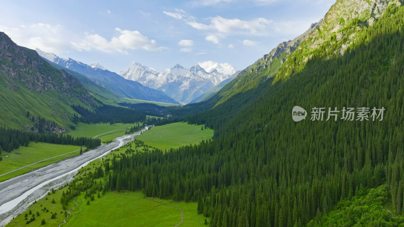 航拍雪山森林自然风光