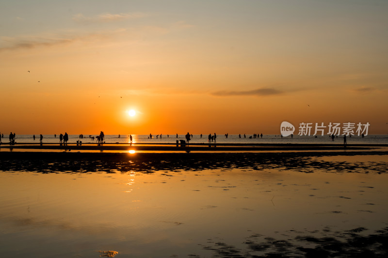 河北秦皇岛北戴河海边日出美景