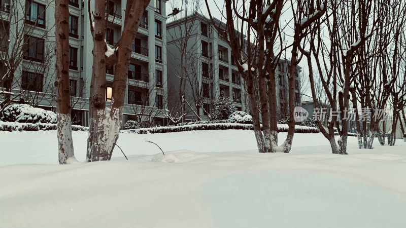 雪后小区住宅楼景观