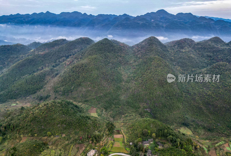 重庆酉阳：大龙村的枫叶红了