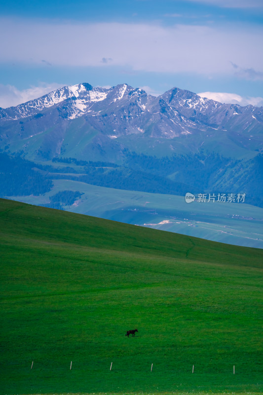 新疆伊犁喀拉峻草原牧场