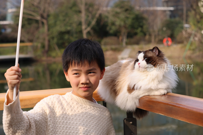 小男孩与栏杆上的宠物猫互动的温馨场景