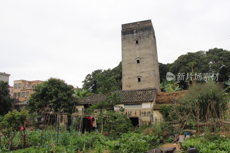 广东东莞：村庄风光