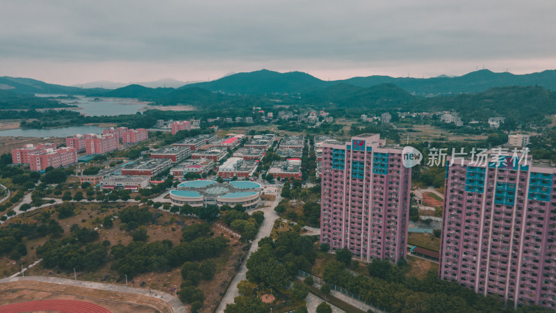 仰恩大学