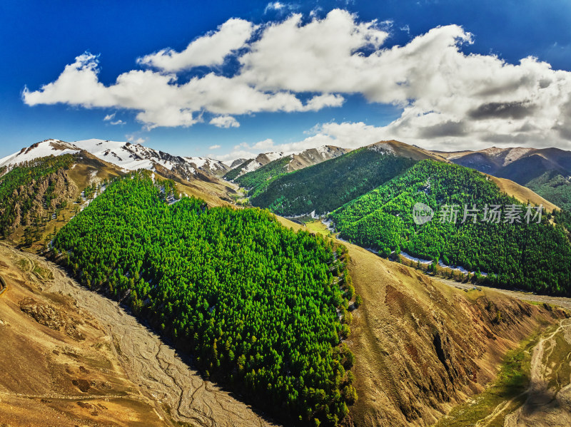 航拍雪山森林