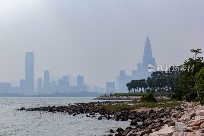 深圳湾公园海滨城市天际线景观