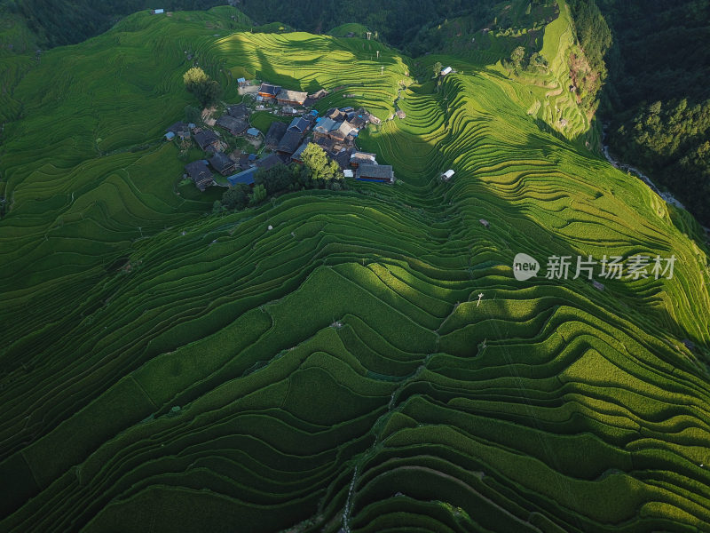 贵州黔东南从江县加榜梯田田园风光