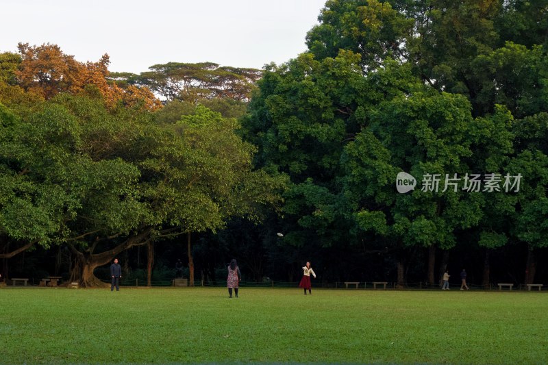 公园草地人们休闲活动场景