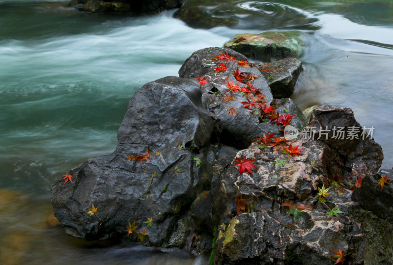 杭州太子湾公园秋天下雨流水石头红叶