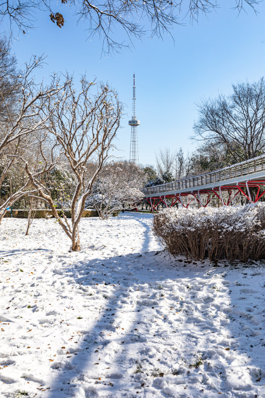 济南泉城公园自然景观雪景