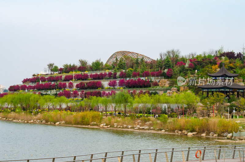 春天的渭南南湖公园风景