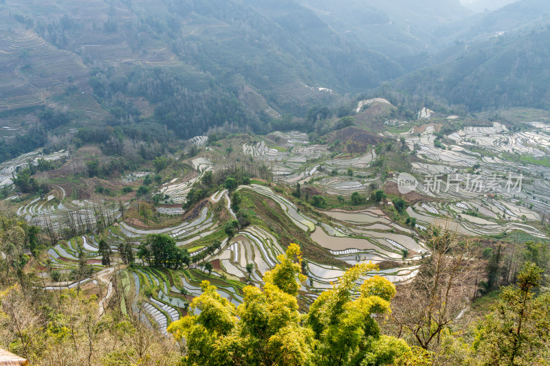 红河州元阳梯田自然风光