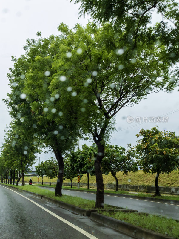 下雨天透过车窗拍摄的道路边的树木