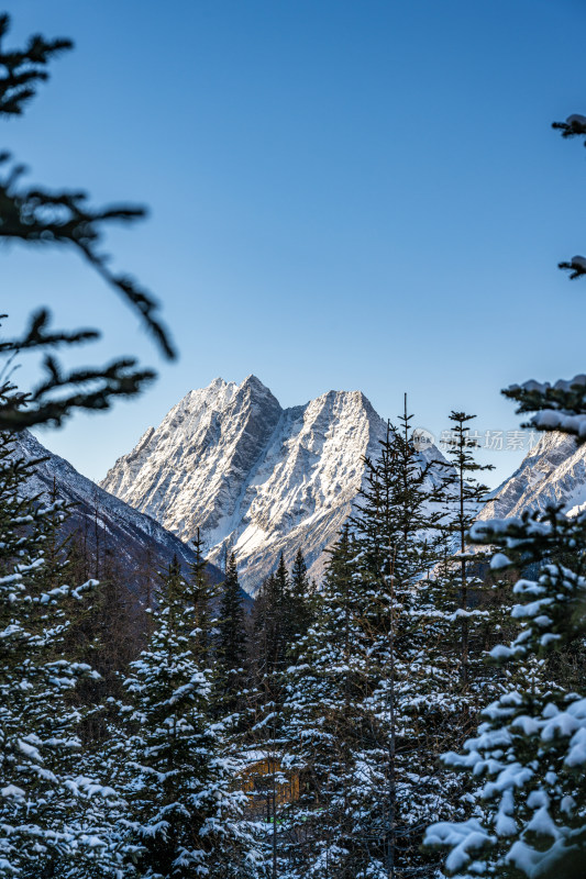 冬天的四姑娘山风景