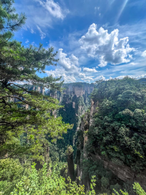 中国湖南张家界景区奇特山峰与茂密森林