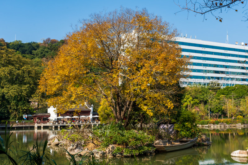 福州黎明湖公园景色