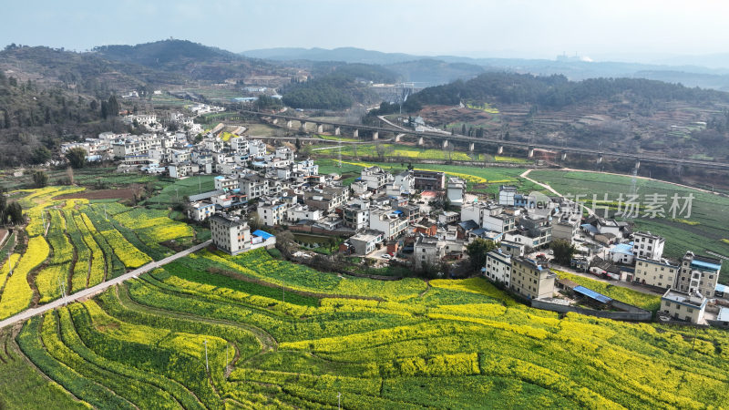 油菜花绘就田园美景