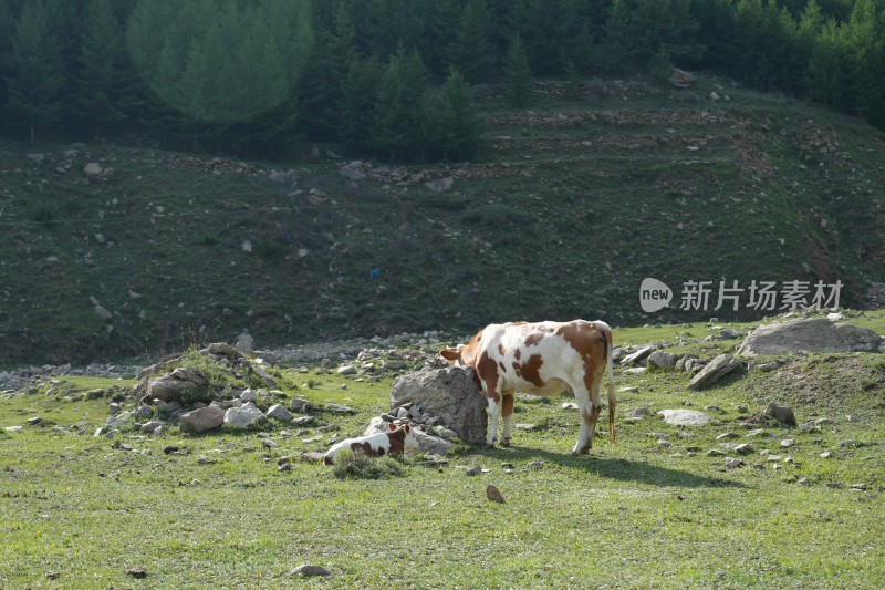 五台山南台风光