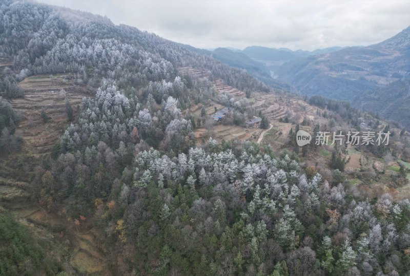 重庆酉阳：小界山上的第一场雪