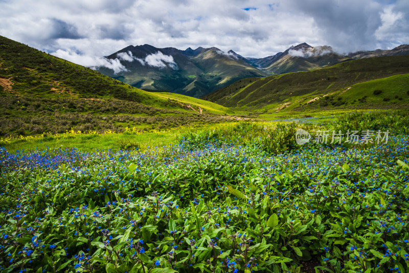 蓝天白云下广袤草原与连绵山峦自然风景