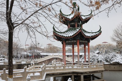 雪后的公园 (1)