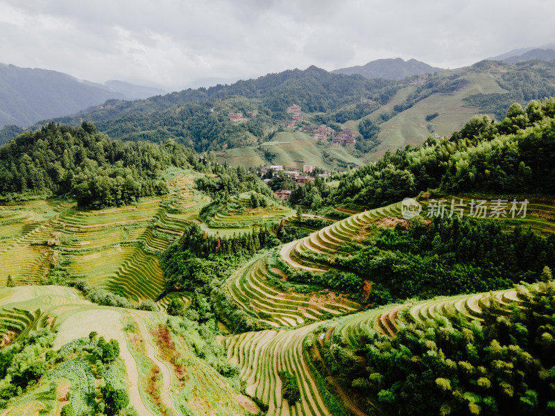 抹茶绿的桂林龙脊梯田