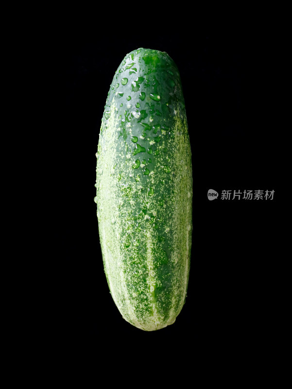 黑色背景上的蔬菜黄瓜青瓜的特写