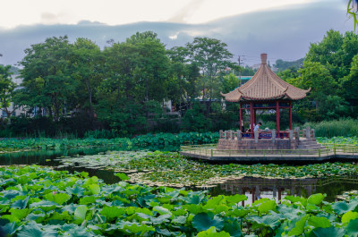 青岛中山公园的小西湖夏季黄昏风景