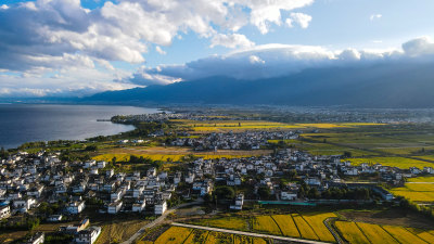 云南大理苍山洱海和万亩稻田