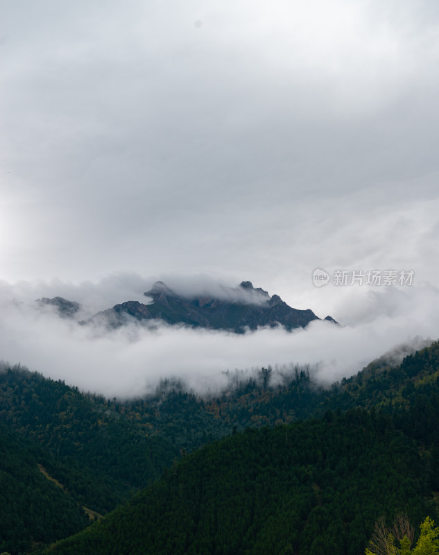 云雾中的森林山峰虎头山