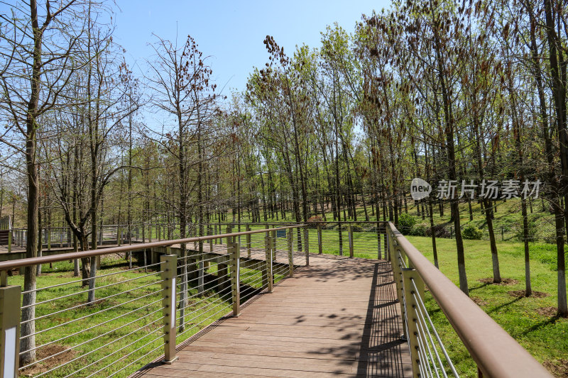 晴朗空旷的武汉府河郊野公园