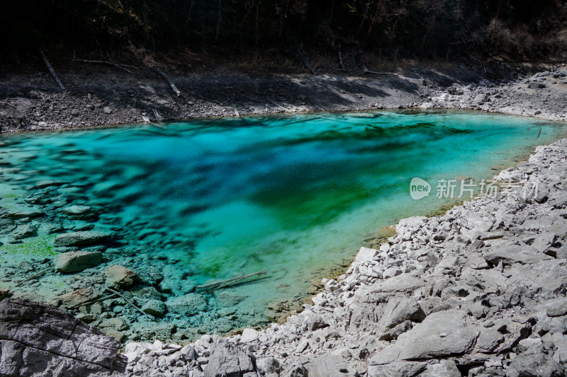 九寨沟的清澈湖水景观