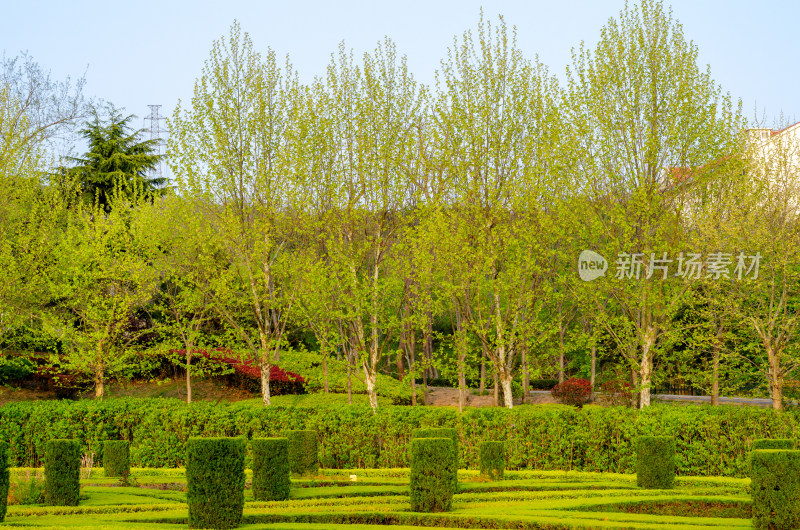 青岛中山公园的夏季