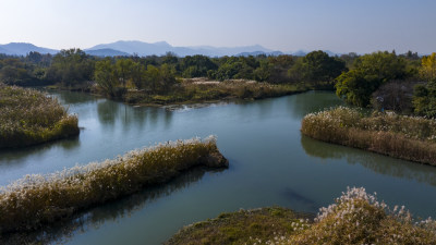 杭州西溪湿地