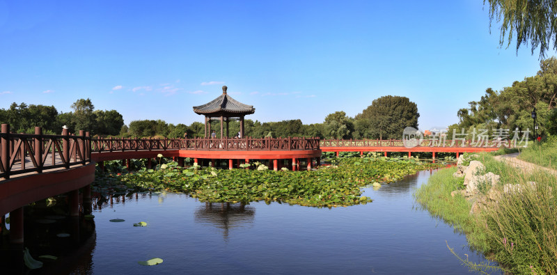 圆明园风景