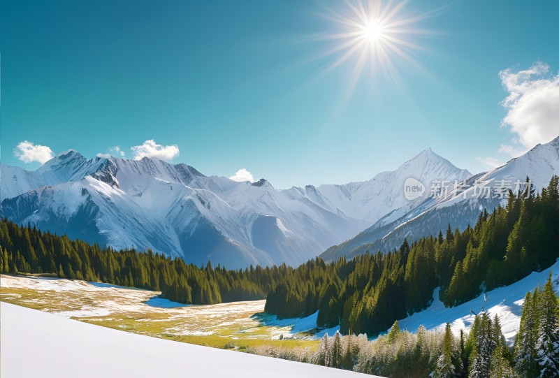 雪山草原森林风景