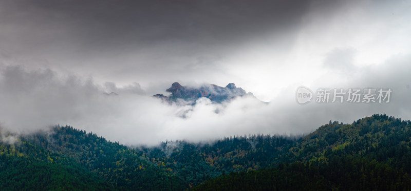 云雾中的森林山峰虎头山