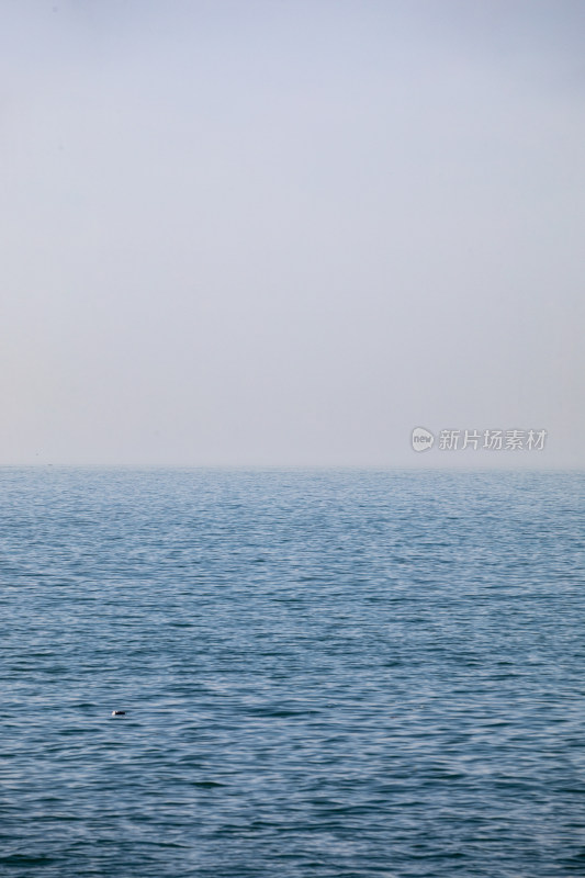 山东青岛第三海水浴场海滨海岸海滩海天景观