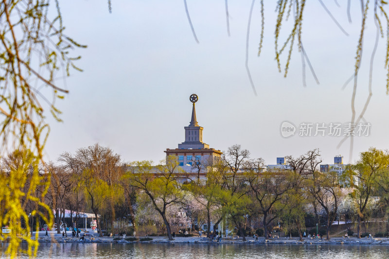 北京玉渊潭公园春天的景色
