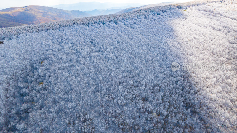 航拍冰雪覆盖的山林全景