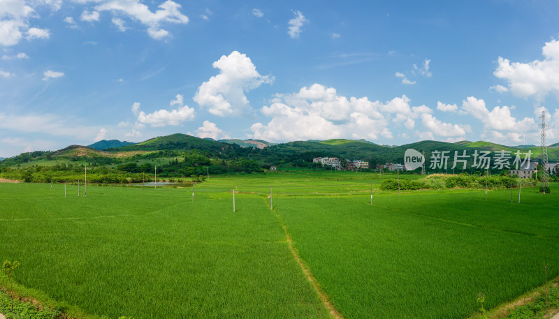 绿油油的农田航拍