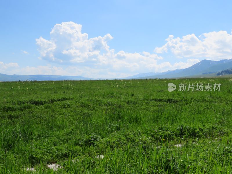 新疆伊犁那拉提草原大自然美景