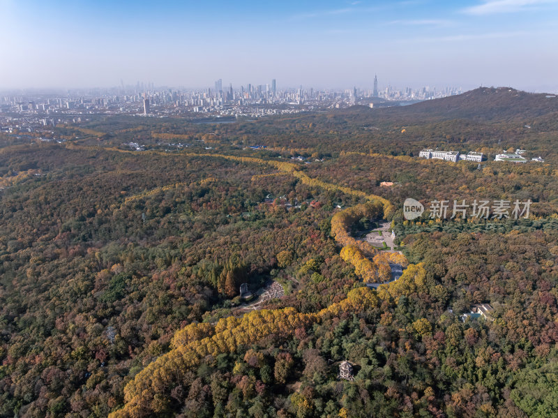 江苏南京中山陵灵山风景区音乐台秋色航拍