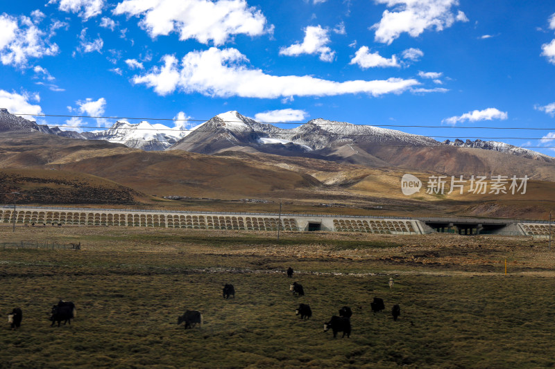 进藏唐古拉山雪山山脉