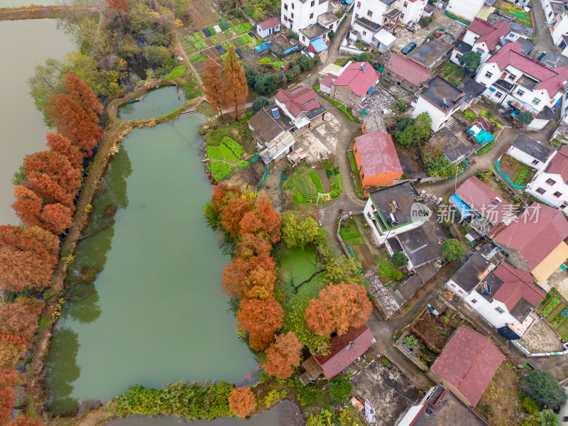 农村田园秋季风景